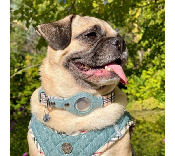 Beige Plaid & Denim - Apple Airtag Collar - Large