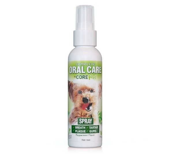 Oral Care Peppermint Spray - 4 oz