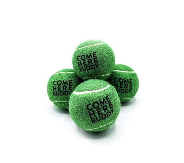 Set of 4 Come Here Buddy Tennis Balls in Green