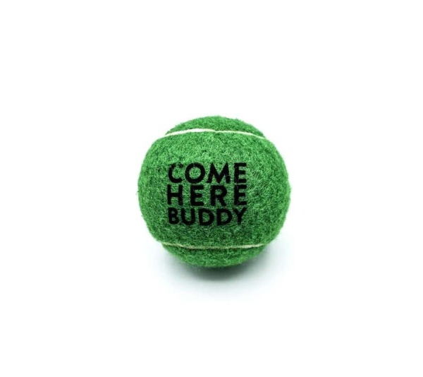Set of 4 Come Here Buddy Tennis Balls in Green