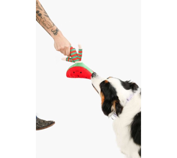 Watermelon Nosework Dog Toy