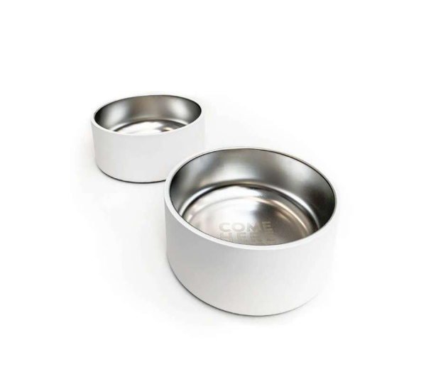White Dog Bowl