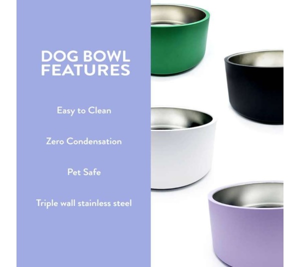 White Dog Bowl
