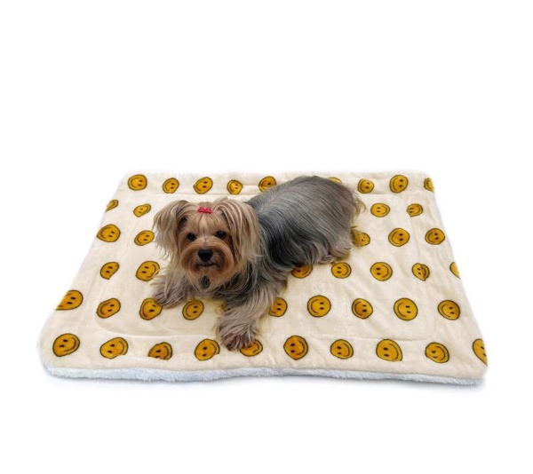 Yellow - Ultra Plush Happy Face Blanket - 30" x 20"