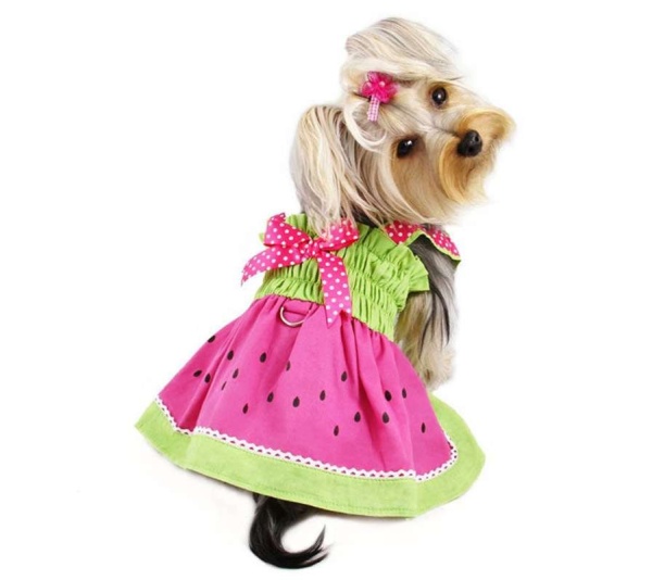 Pink/Lime - Juicy Watermelon Sundress with Large D-ring - S