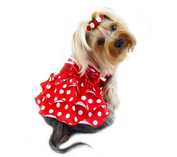 Red/White - Sparkling Bow Ruffle Layered Dress - XL