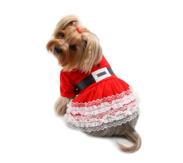 Red - Lace Ruffles Puffy Sleeves Christmas Dress - S