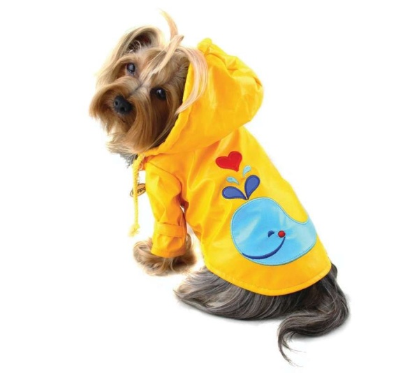 Yellow - Splashing Whale Raincoat with Cotton Lining - XL