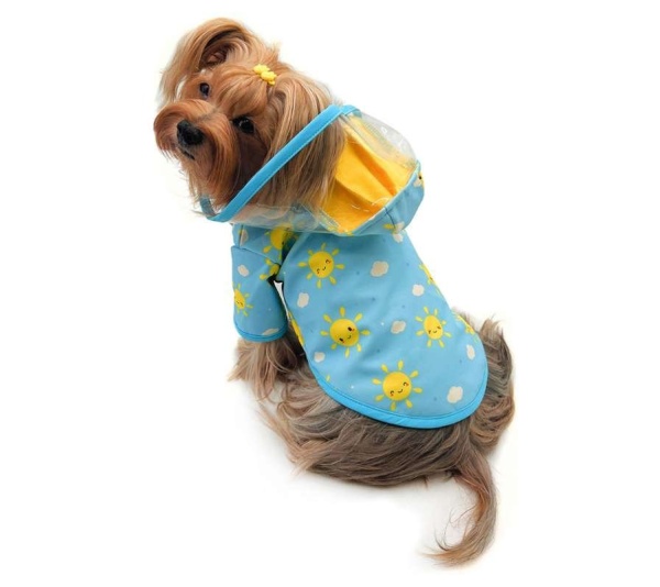 Blue - Clear View Happy Sunshine Raincoat with Fleece Lining and Detachable Hood - L