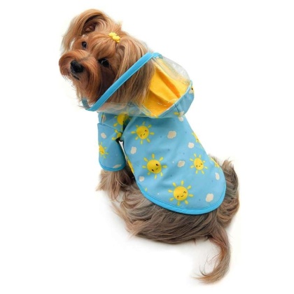 Blue - Clear View Happy Sunshine Raincoat with Fleece Lining and Detachable Hood - XS