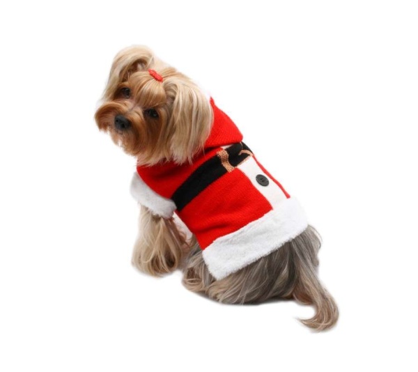 Red - Santa Hooded Sweater with Soft Fur Trims - XS