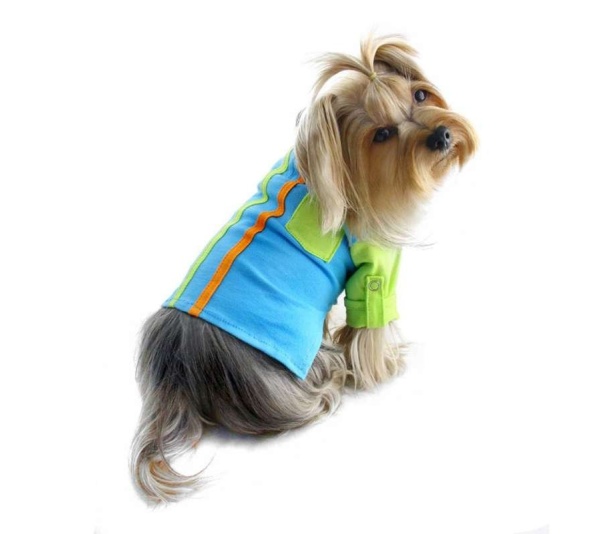 Green/Blue - Knit Cotton Contrast Shirt with Roll-Up Sleeves - M