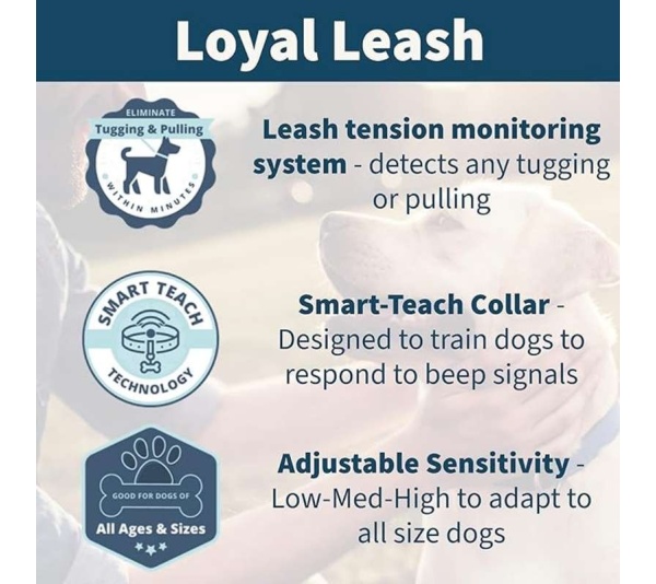 Loyal leash
