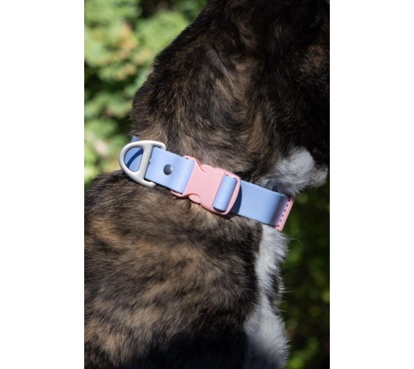 Blue Sky Orchid Waterproof Dog Collar - 13 - 15 inch