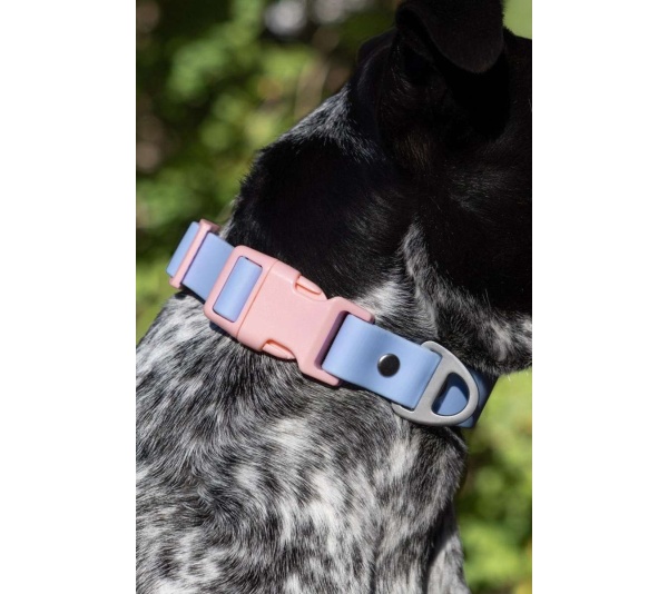 Blue Sky Orchid Waterproof Dog Collar - 13 - 15 inch