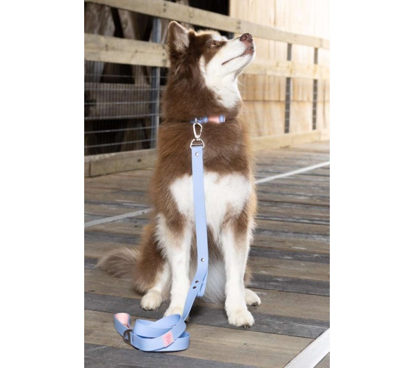 Blue Sky Orchid Waterproof Dog Collar - 20 - 26 inch