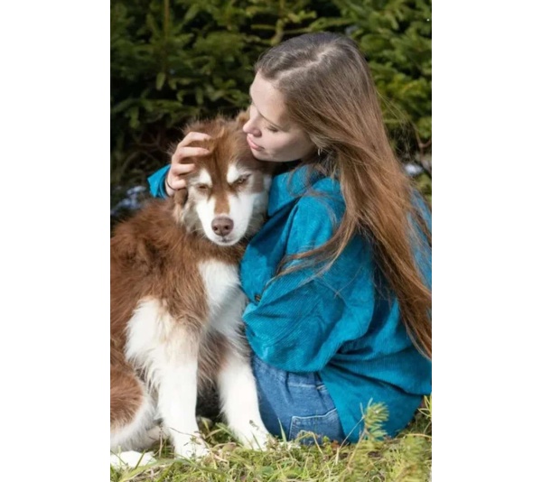 Blue Spruce Plaid Dog Bandana - S/M - 18in x 10in