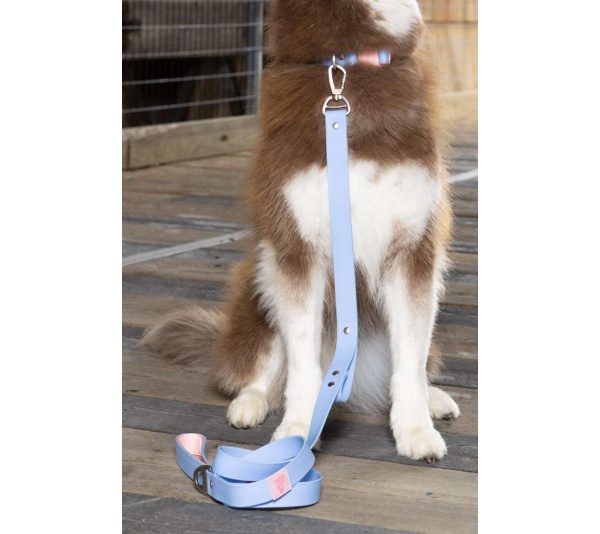 Periwinkle / Pink - Blue Sky Orchid Waterproof Leash