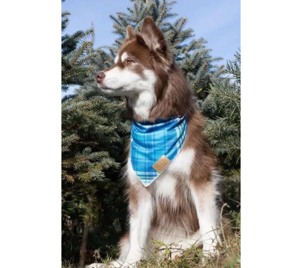 Blue Spruce Plaid Dog Bandana - XL - 35in x 17in