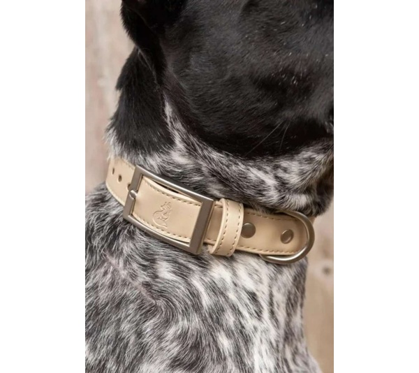 Champagne Fizz Vegan Leather Dog Collar - 13 - 15 inch