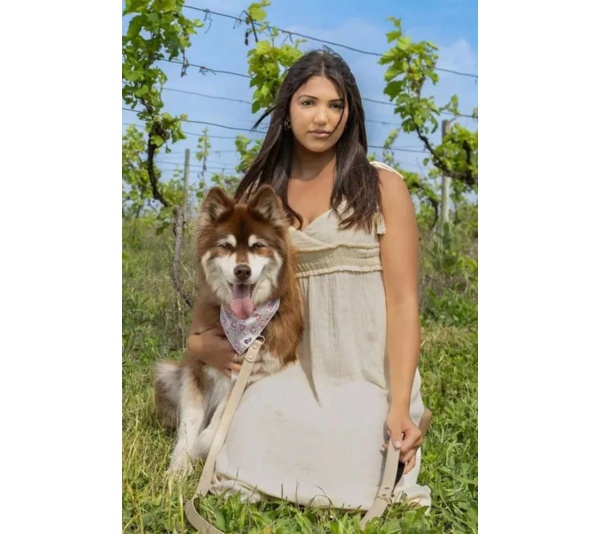 Champagne Fizz Vegan Leather Dog Collar - 15 - 19 inch