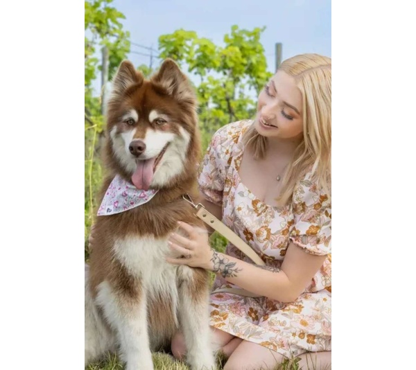 Cheers to Love Dog Bandana - XL - 35in x 17in