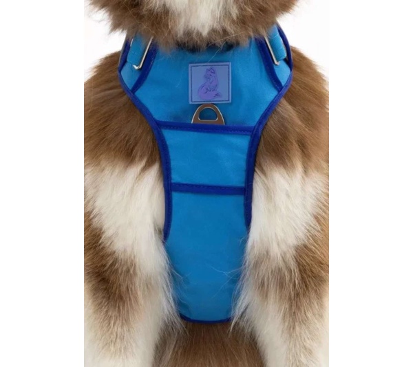 Dockside Adventures Ultimate Harness - Large