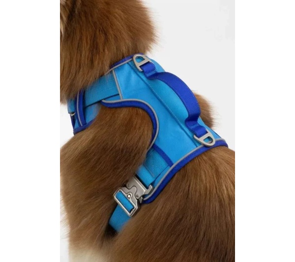 Dockside Adventures Ultimate Harness - Medium