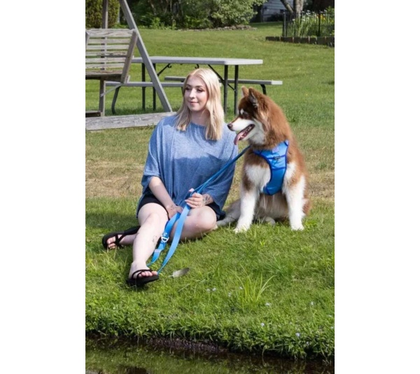 Dockside Adventures Ultimate Harness - Medium