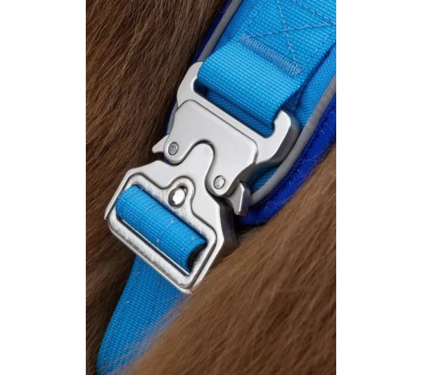 Dockside Adventures Ultimate Harness - Medium