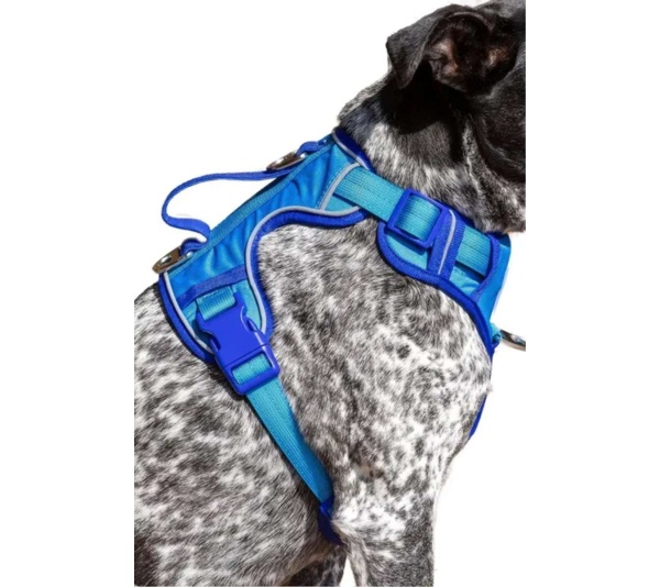 Dockside Adventures Ultimate Harness - X-Large