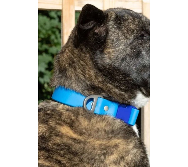 Dockside Adventures Waterproof Dog Collar - 15 - 17 inch