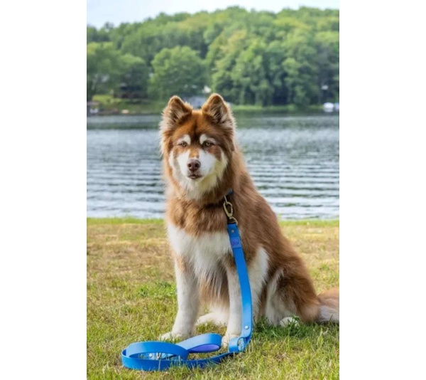 Blue / Purple - Dockside Adventures Waterproof Dog Leash