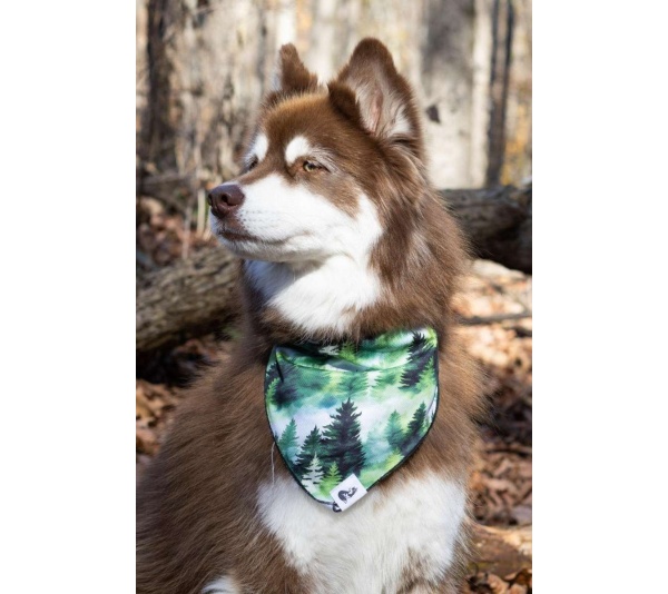 Evergreen Explorer Dog Bandana - XL - 35in x 17in