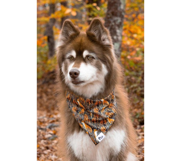 Foxes in Fall Dog Bandana - XL - 35in x 17in
