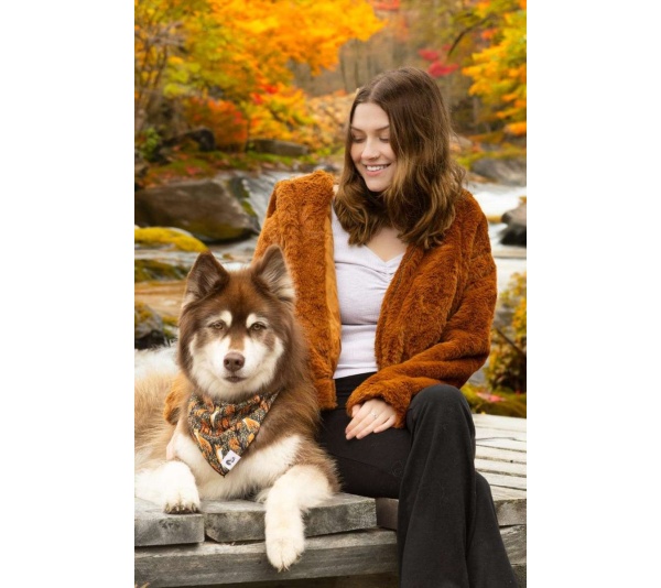 Foxes in Fall Dog Bandana - XL - 35in x 17in