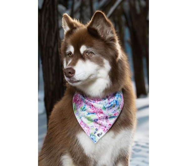 Hydrangea Haven Dog Bandana - M/L - 27in x 13in