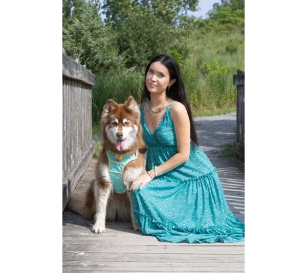 Island Vibes Ultimate Dog Harness - Large