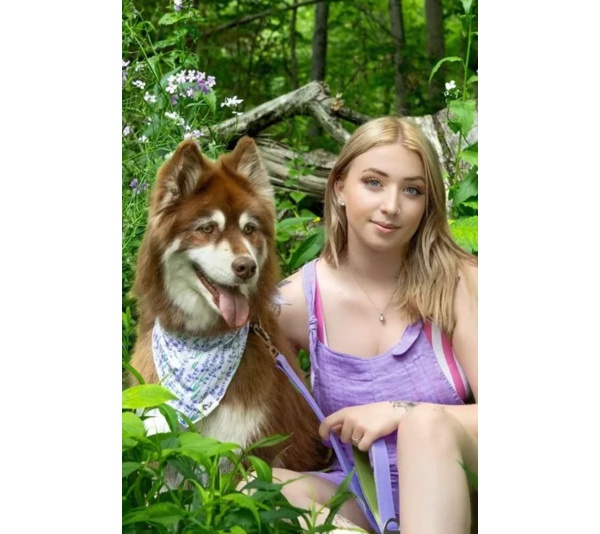 Lavender Blooms Dog Bandana - XL - 35in x 17in