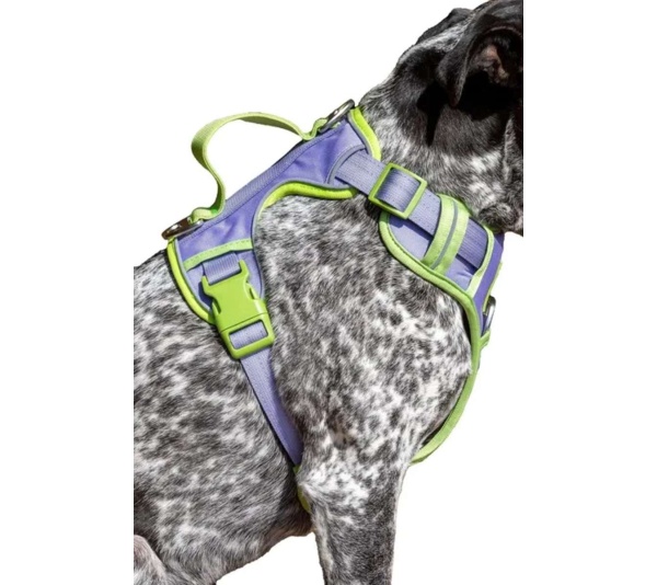 Lavender Garden Ultimate Dog Harness - Medium