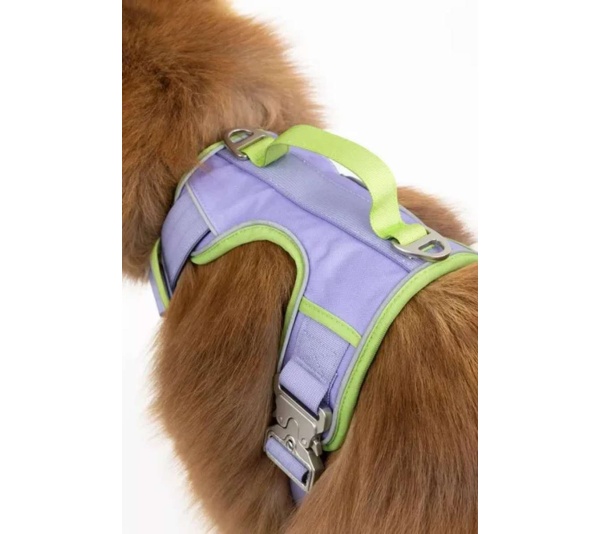 Lavender Garden Ultimate Dog Harness - Small