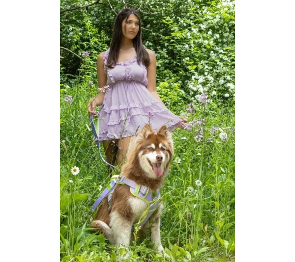 Lavender Garden Ultimate Dog Harness - X-Large