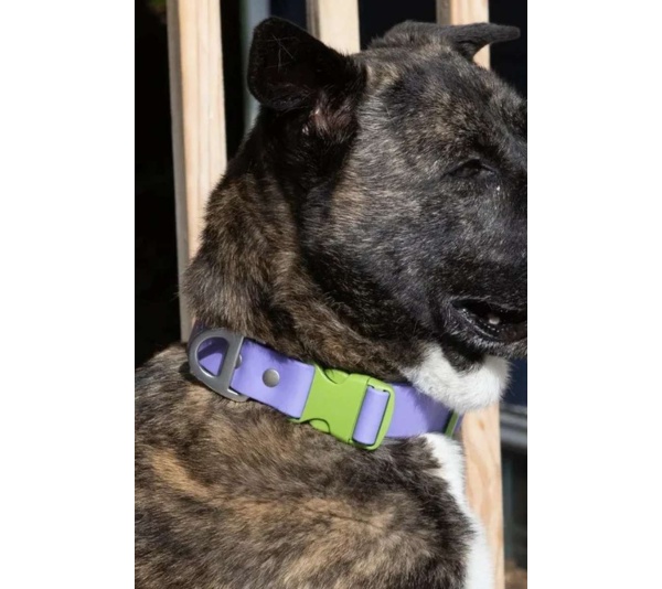 Lavender Garden Waterproof Dog Collar - 13 - 15 inch