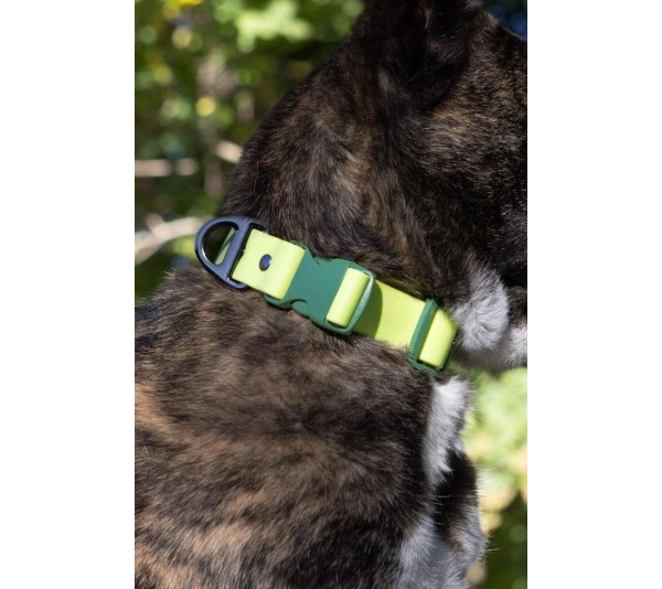 Mossy Pine Waterproof Dog Collar - 15 - 17 inch