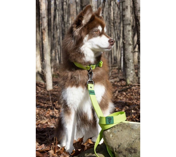 Green - Mossy Pine Waterproof Leash
