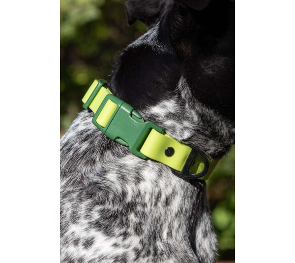 Mossy Pine Waterproof Dog Collar - 20 - 26 inch
