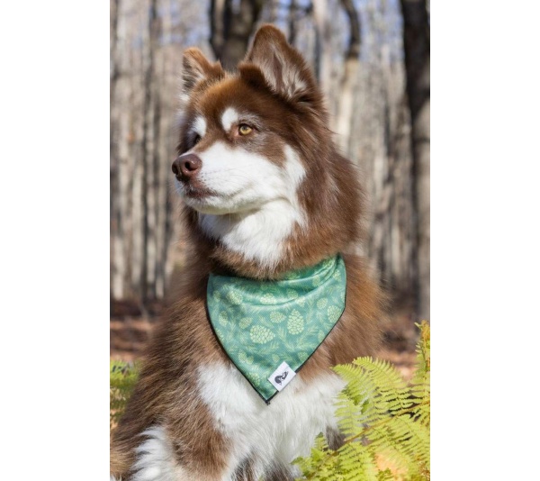 Pine Cone Pup Bandana - M/L - 27in x 13in