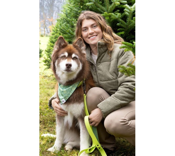 Pine Cone Pup Bandana - M/L - 27in x 13in