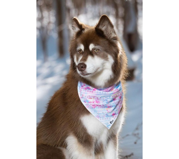 Pink and Blue Tribal Dog Bandana - M/L - 27in x 13in