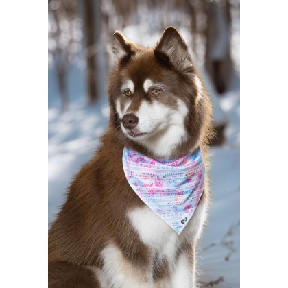 Pink and Blue Tribal Dog Bandana - S/M - 18in x 10in